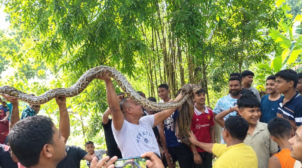ফটিকছড়ির সুয়াবিলে অজগর উদ্ধার, বনে অবমুক্ত