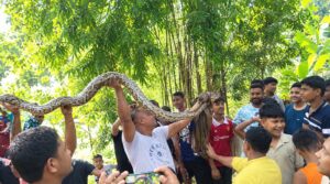 ফটিকছড়ির সুয়াবিলে অজগর উদ্ধার, বনে অবমুক্ত