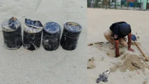 কলাবাগানে ককটেল বিস্ফোরণ, আওয়ামী লীগ-যুবলীগের চার কর্মী গ্রেপ্তার
